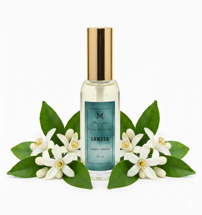 Spray d’Intérieur 50 ml – Premium