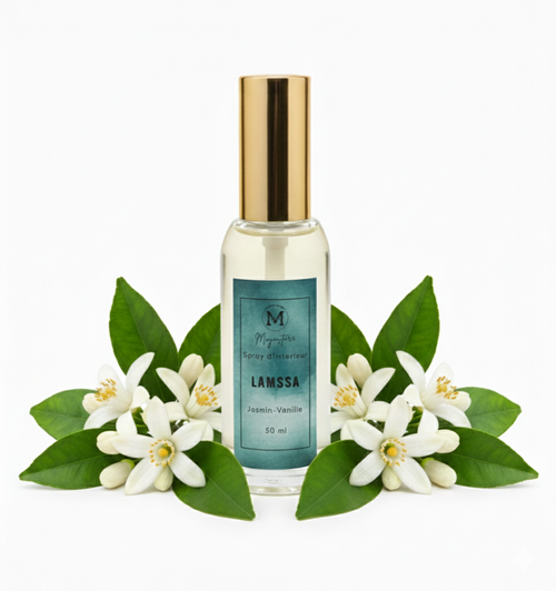 Spray d’Intérieur 50 ml – Premium