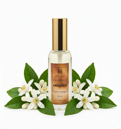 Spray d’Intérieur 50 ml – Premium