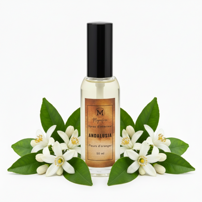 Spray d’Intérieur 50 ml – Premium