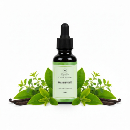 ÉVASION VERTE with green bands